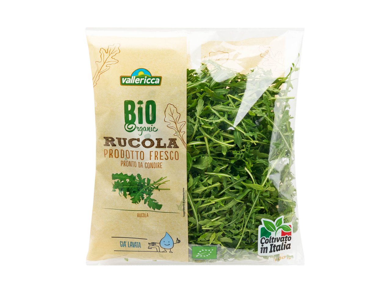 Rucola bio