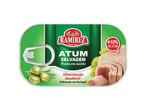 Atum Ramirez em azeite.