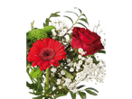 Gérberas vermelhas, rosas e gypsophila.