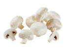 Witte champignons op een witte achtergrond.