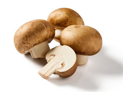 Braune Bio Kulturchampignons