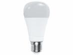 Ampoule LED à culot E27.