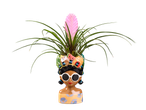 Lepelplant met roze bloem op zwarte achtergrond, in een pot in de vorm van een vrouwengezicht.