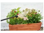 Watering plants in a wooden planter box with a spray: peppers, rosemary, and flowers.