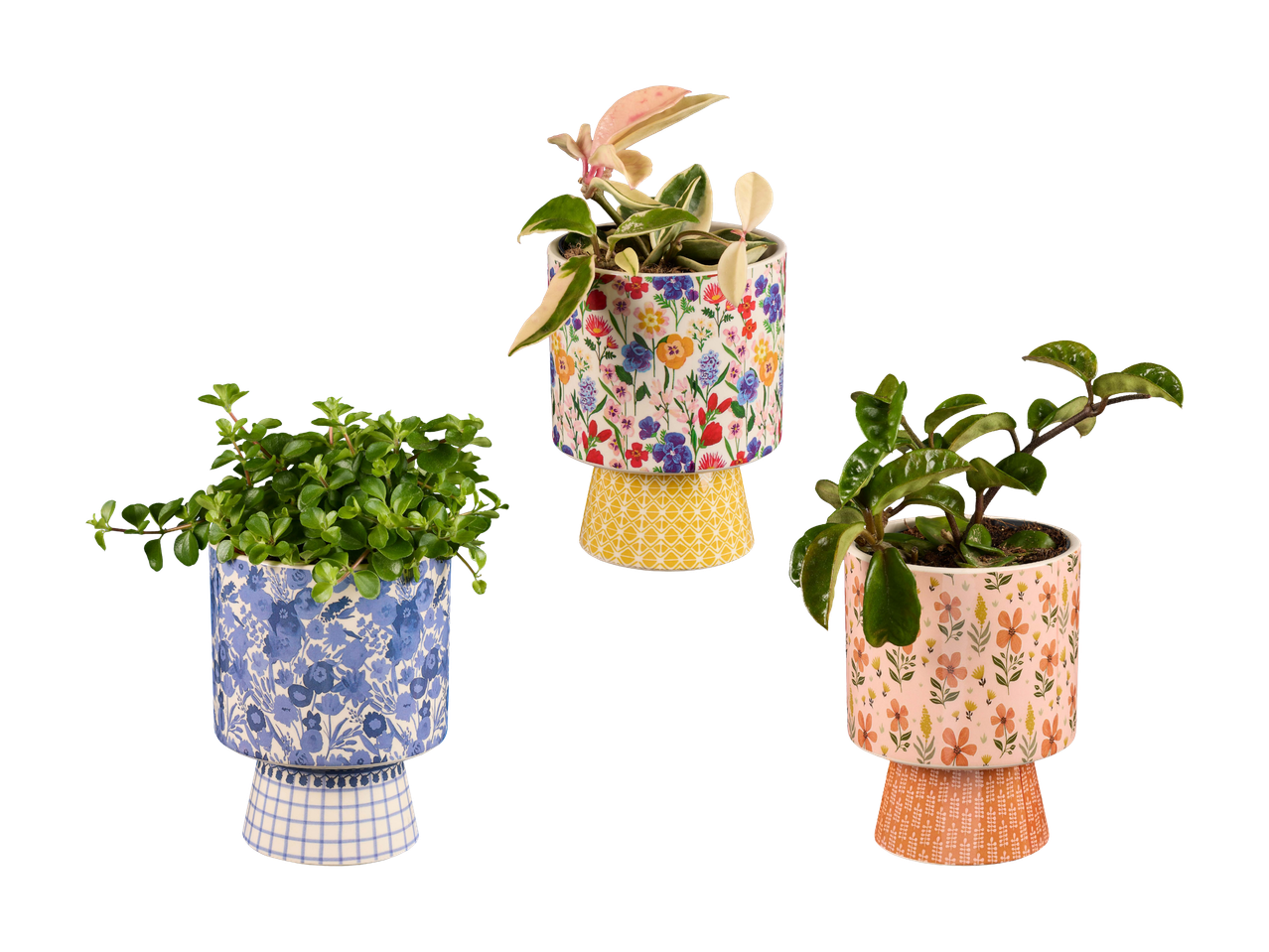 Drei Blumentöpfe mit Pflanzen, verziert mit Blumen- und geometrischen Mustern.