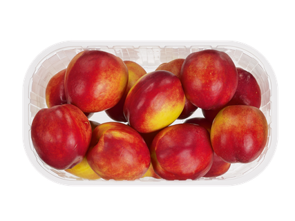 Nectarines XXL