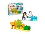 Toy set with lion and penguin families, including a box showing the animals and play features.