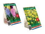To pakker blomsterløg: en med hyacinter i forskellige farver og en med gule påskeliljer.