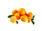 Laranjas frescas com folhas verdes e gotas de água em fundo branco.