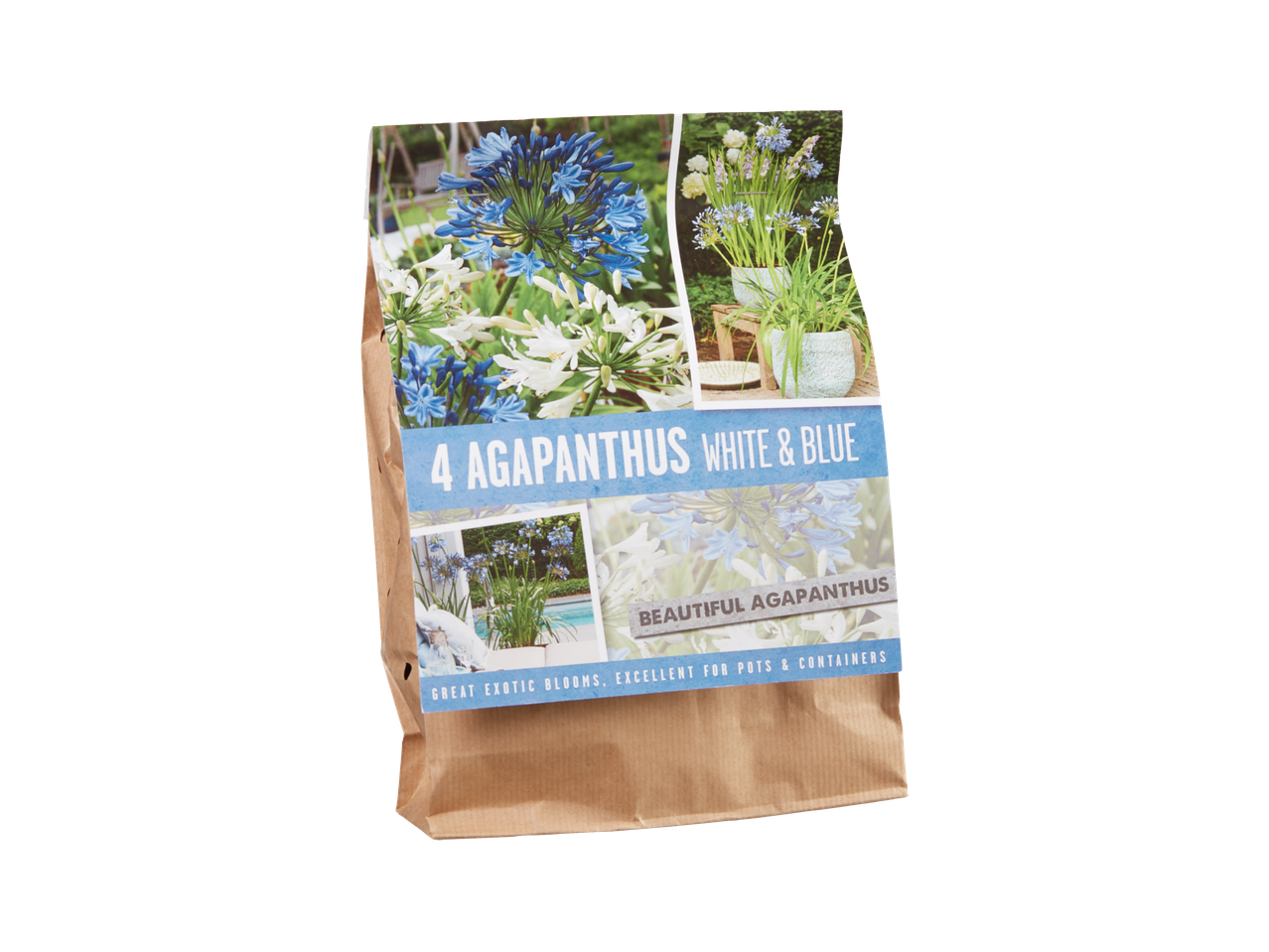 Lukovičaste agapantusa u braon papirnoj kesi, sa belim i plavim cvetovima.