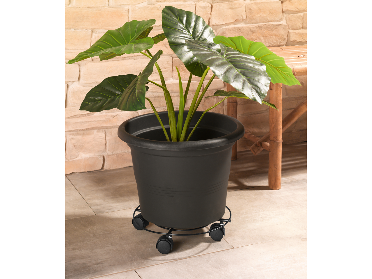 Plantă în ghiveci negru pe un suport cu roți PARKSIDE în fața unui perete de cărămidă.