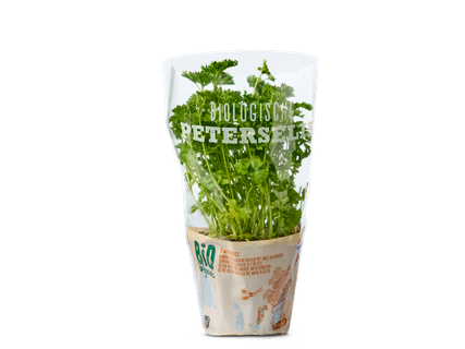 Biologische peterselie in pot