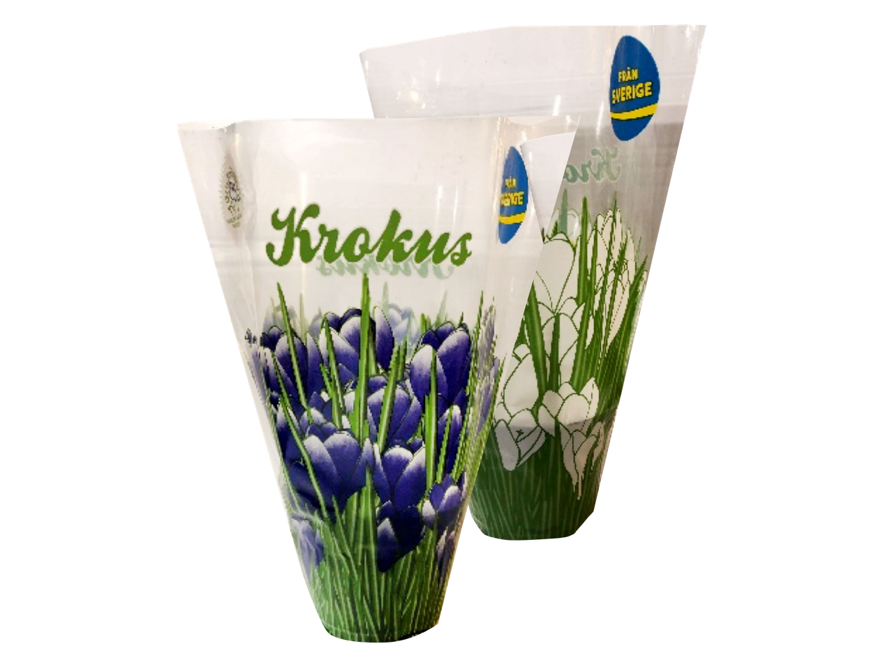 Två blomkrukor med krokusmotiv, en med lila blommor och texten 'Krokus', den andra med vita blommor.