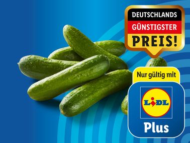 Snack-Gurken