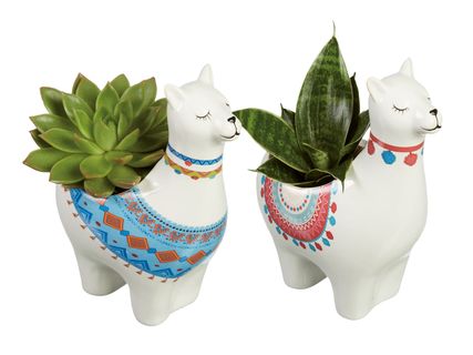 Pflanzenmix in Alpacca-Keramik