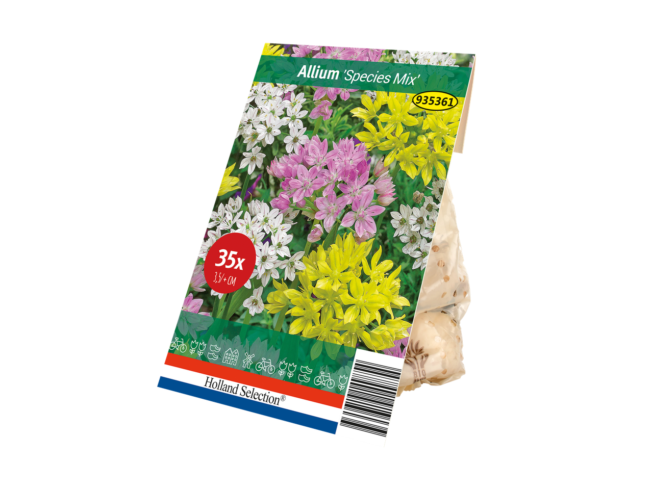 Allium 'Species Mix' flower bulb packaging with 35 bulbs, Holland Selection brand.