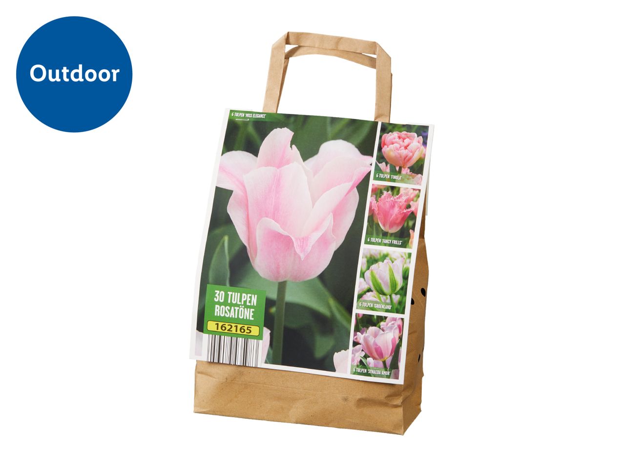 Outdoor tulip bulbs in a paper bag, featuring pink varieties like 'Miss Elegance' and 'Finola'.