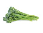 Fresh broccoli bunch.