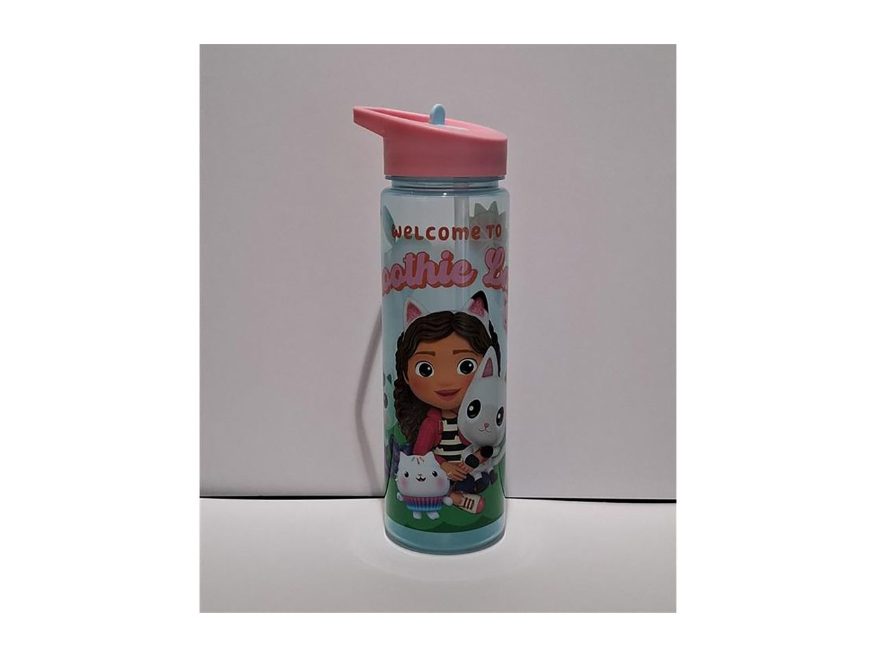 Gabby’s Dollhouse 600ml Character Water Bottle
