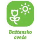 bastenskocvece