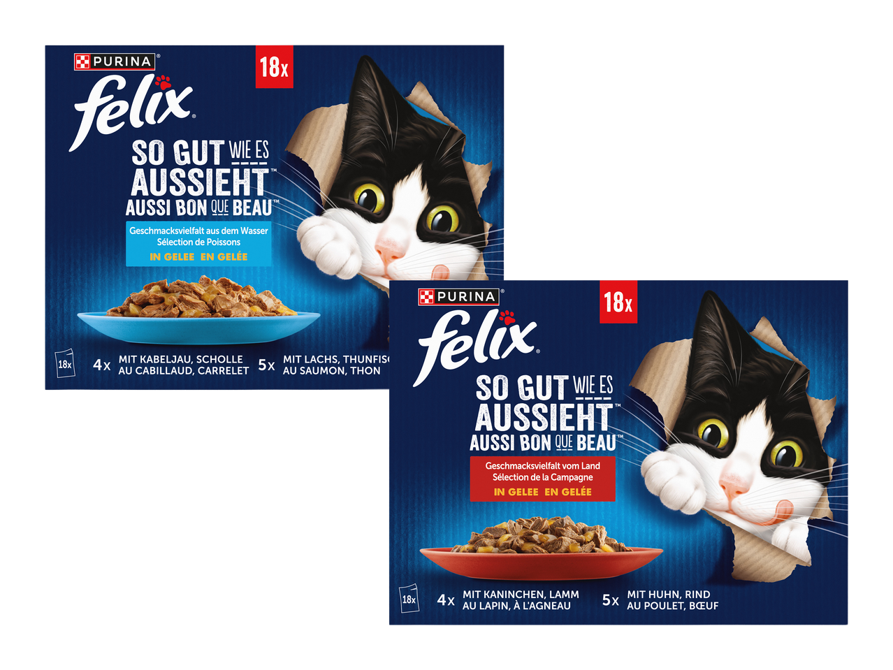 Două cutii de hrană pentru pisici cu arome de pește și carne, cu o pisică jucăușă.