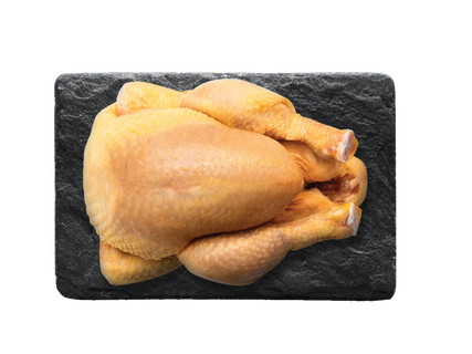 Šviežias kukurūzinis viščiukas