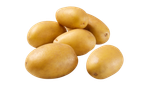 Een stapel lichtgekleurde nieuwe aardappelen op een zwarte achtergrond.