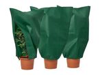 Three green plant protection covers on potted plants