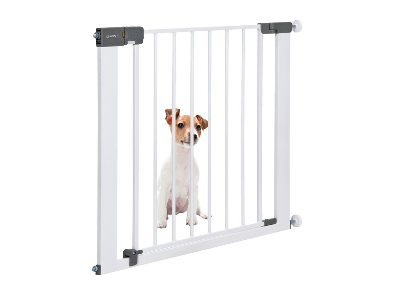 Safety 1st baby gate with a small dog behind it.