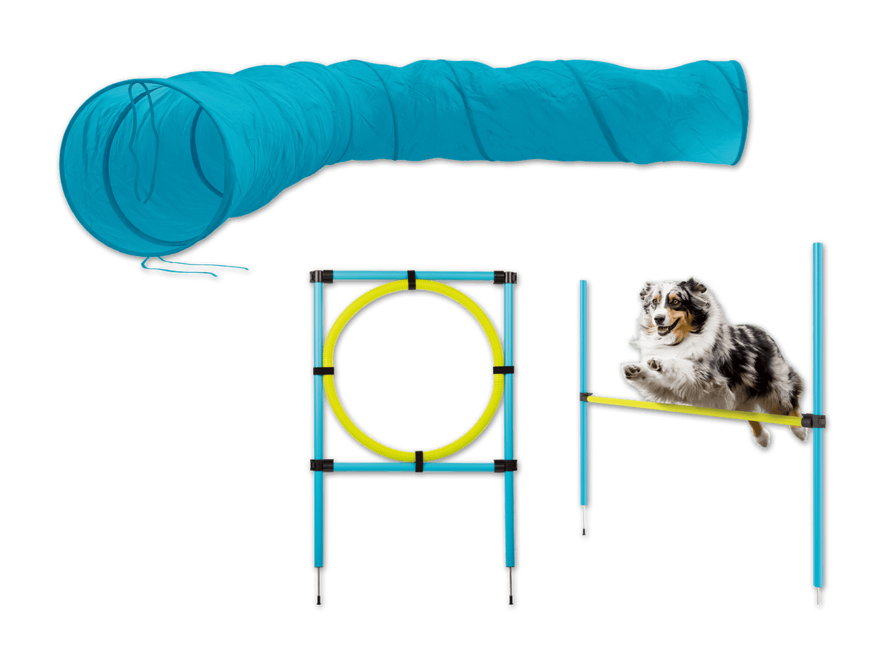 Agility-Parcours für Hunde mit Tunnel, Reifen und Hürde.