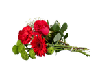 Buquê de rosas, gerberas e cravos vermelhos.