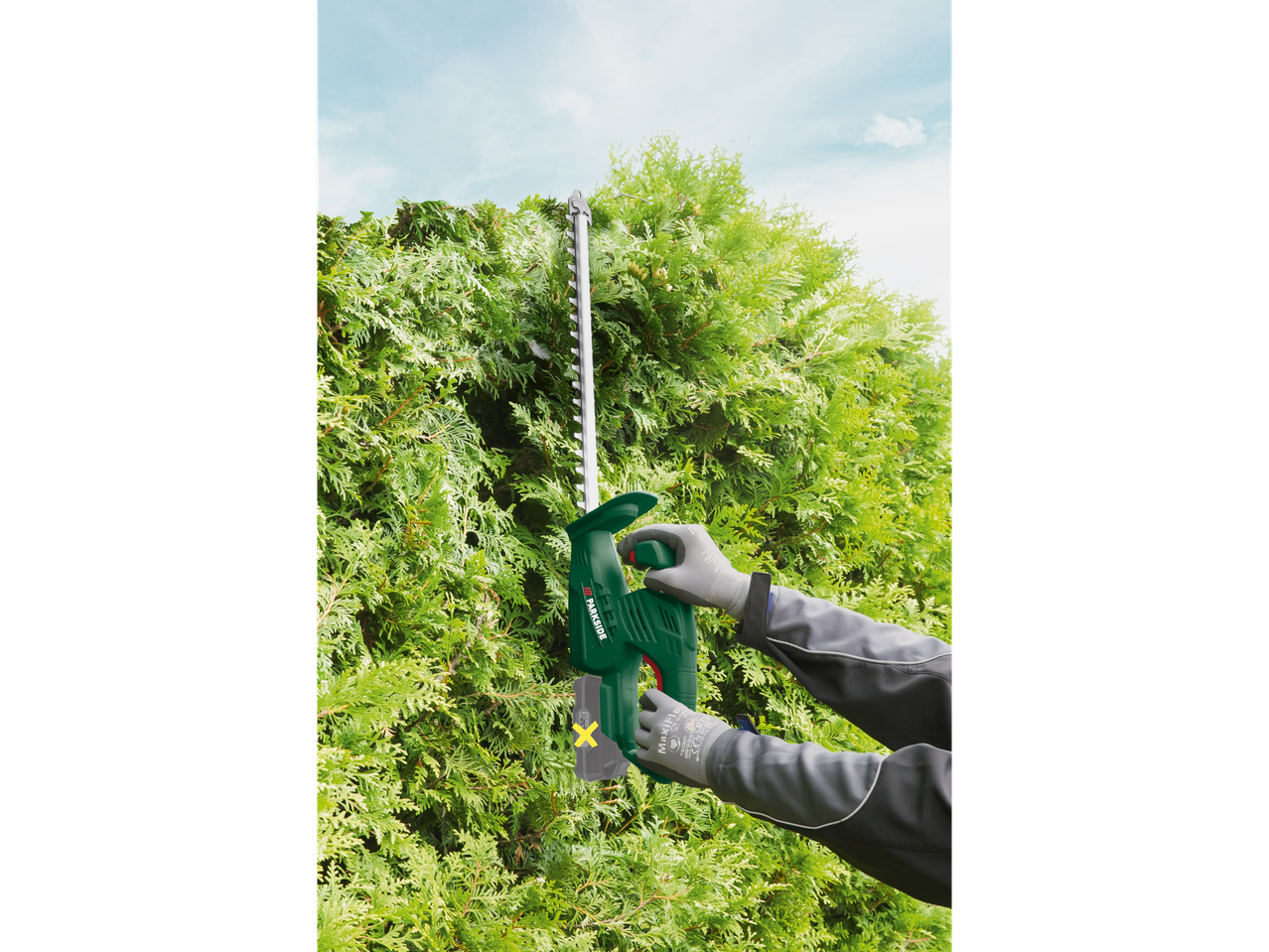 A person uses a Parkside electric hedge trimmer to trim a green hedge.