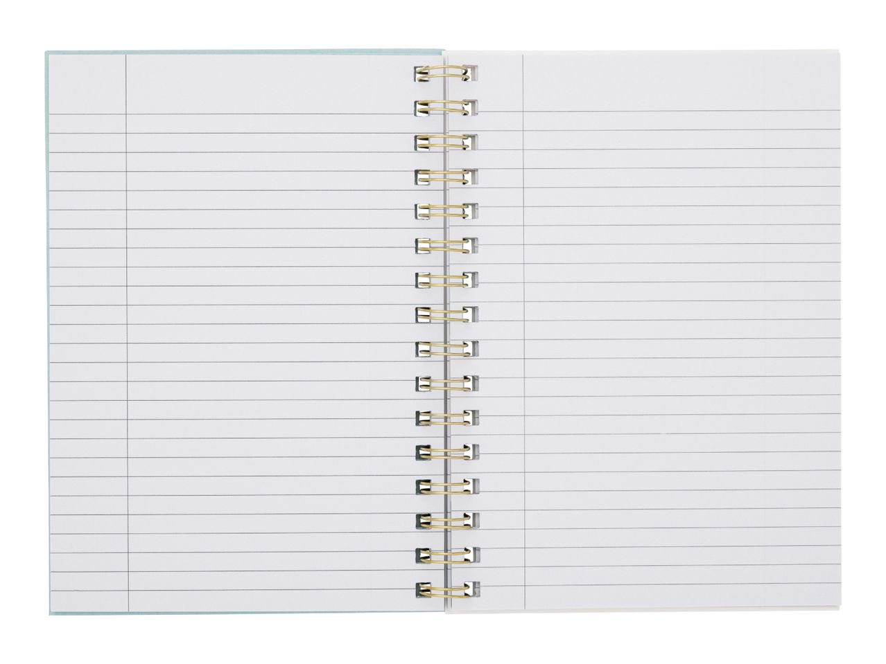 Open spiral-bound notebook with lined pages and a column on the left side.