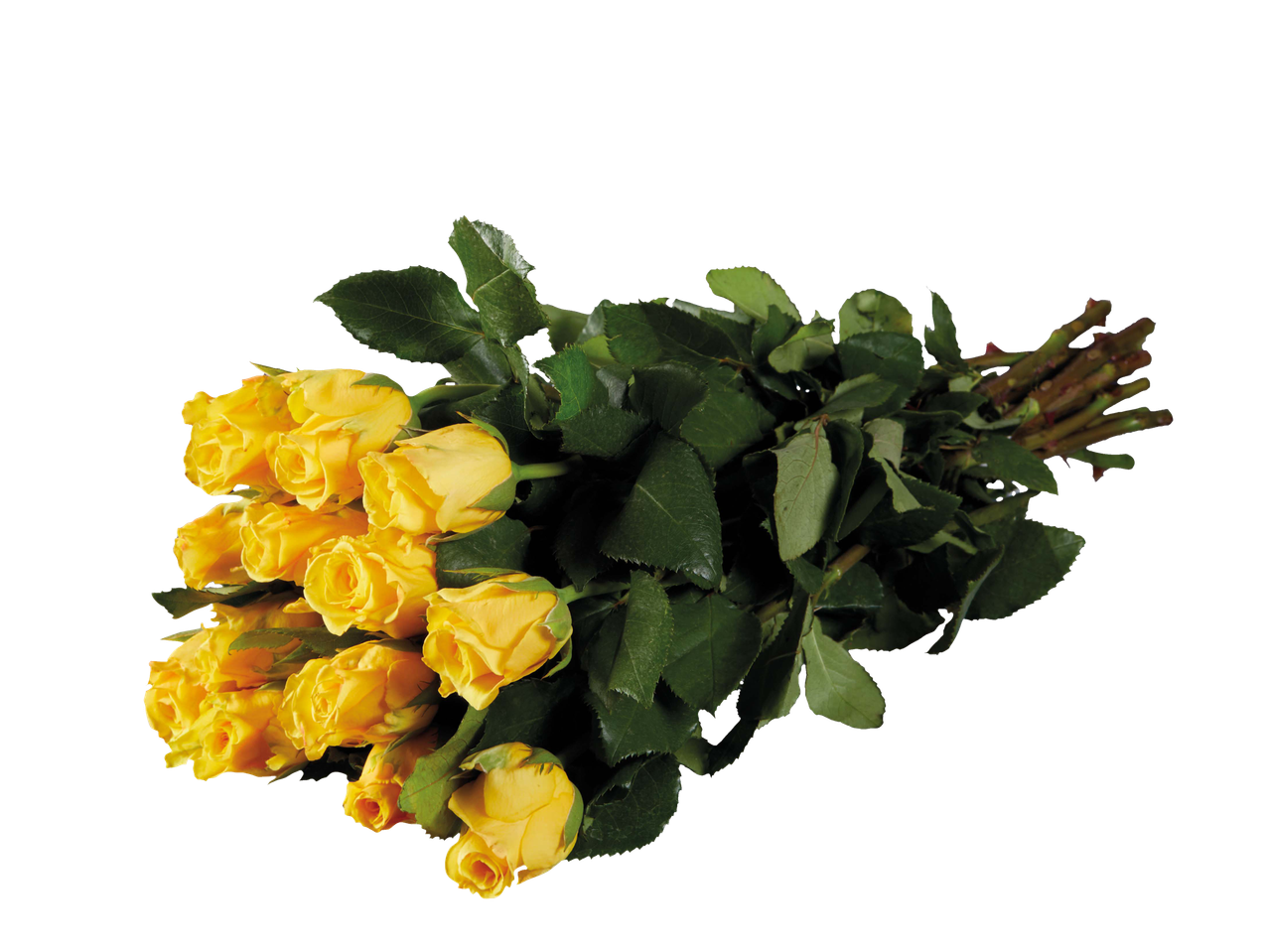 Buquê de rosas amarelas