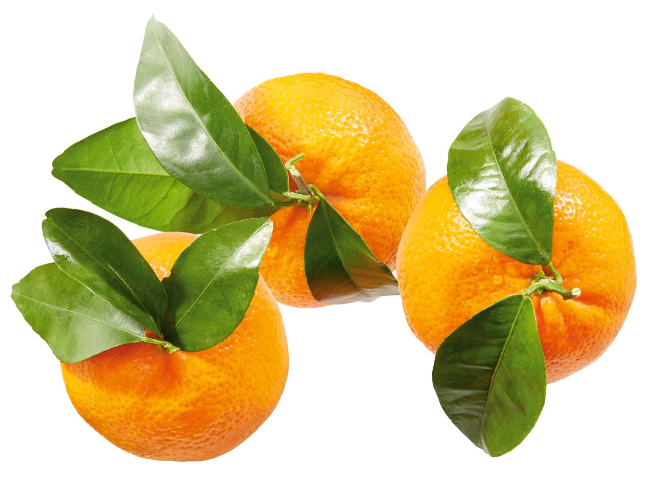Frische Mandarinen mit Blättern.