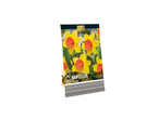 Narcissi 'Loveday': 8 bulbs, yellow and orange flowers.
