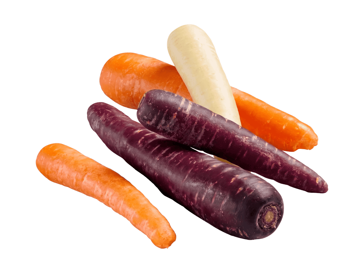 Eine Auswahl an frischen, bunten Karotten in Orange, Violett und Weiß auf schwarzem Hintergrund.