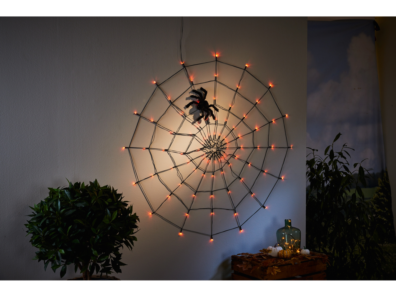 Halloween spiderweb light decoration with a large spider and autumn decor.