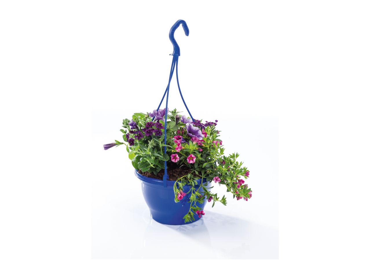 Blue hanging basket with purple and pink flowering plants.
