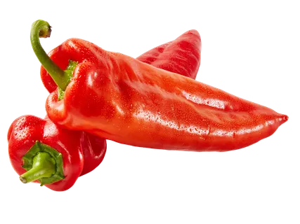 Kápia paprika