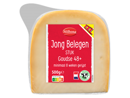 Gouda jong belegen stuk kaas