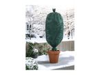 A potted plant wrapped in a green winter protection fleece on a snowy patio.