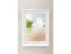 Pellicola decorativa per finestre colorata