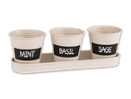 Drei cremefarbene Kräutertöpfe mit den Aufschriften „MINT“, „BASIL“ und „SAGE“ in einem passenden Tablett.