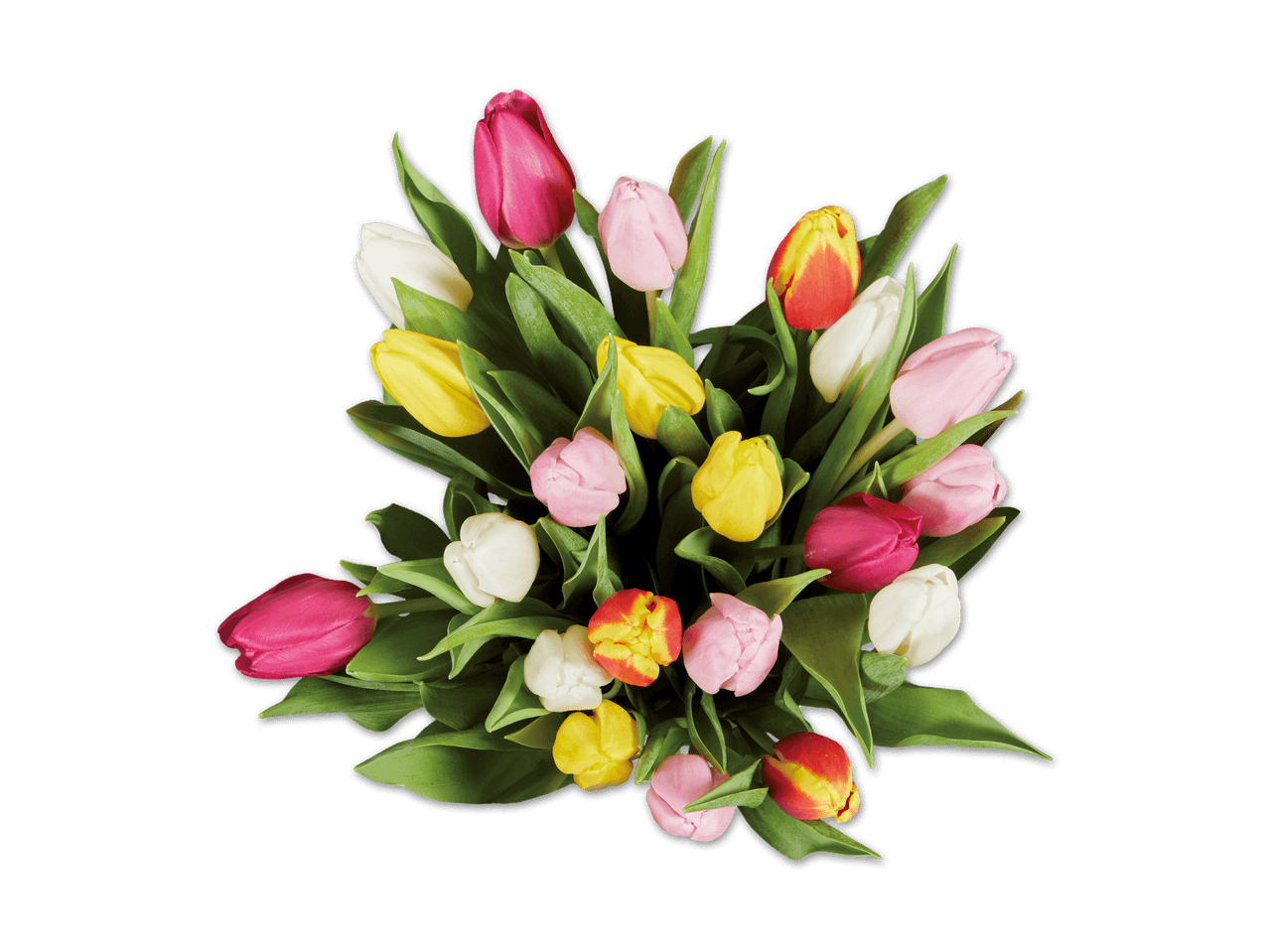 Bunter Strauß aus rosa, gelben und weißen Tulpen auf schwarzem Hintergrund.