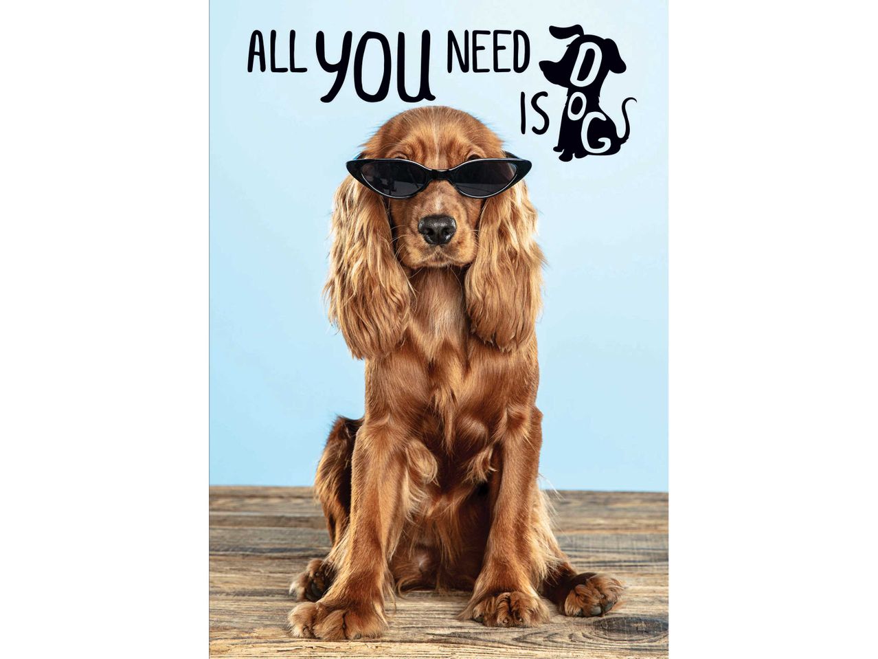 Kutya napszemüvegben, felirattal: „ALL YOU NEED IS DOG”