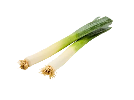 Blancs de poireaux
