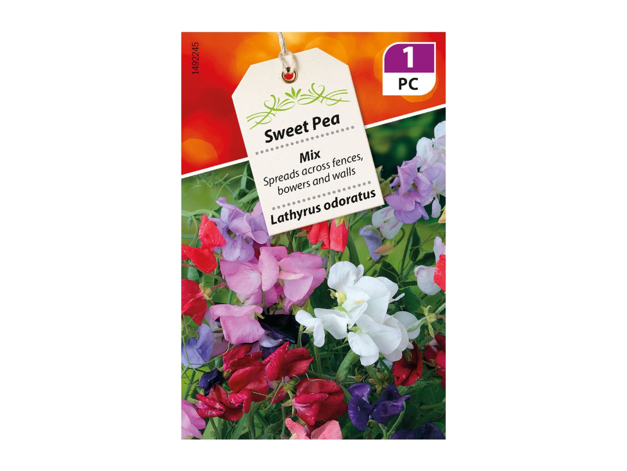 Sweet Pea Mix seeds, Lathyrus odoratus, for spreading across fences, bowers, and walls.