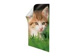 A kitten peeking through green grass on a wall decal with a peeled corner.