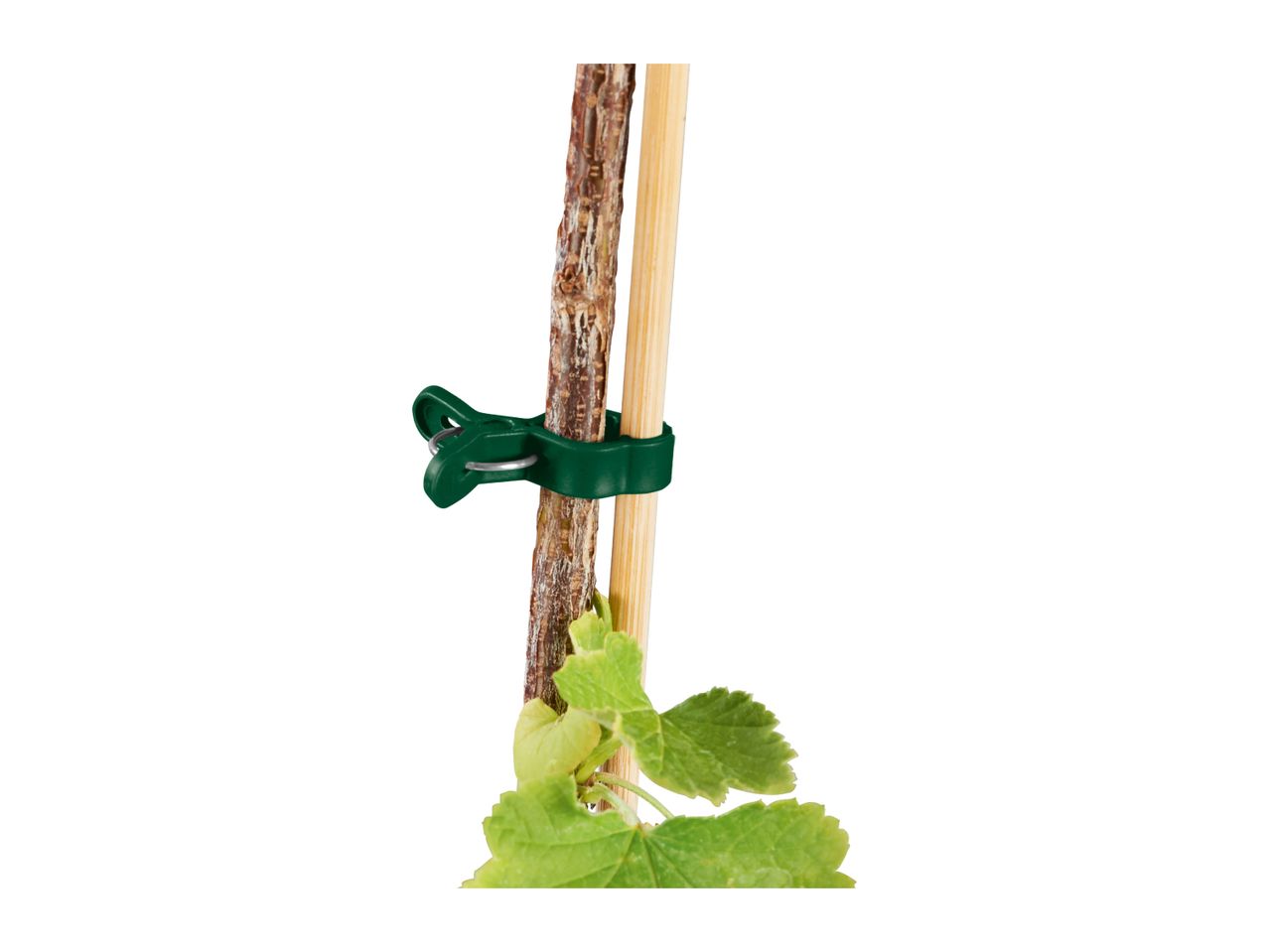 Parkside Plant Clips - 30 Pieces